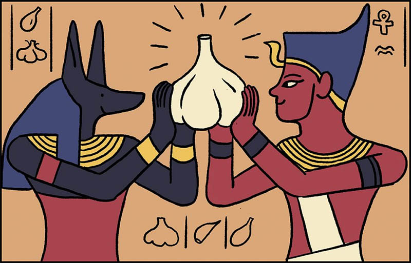 Drawing of hieroglyphics characters holding garlic