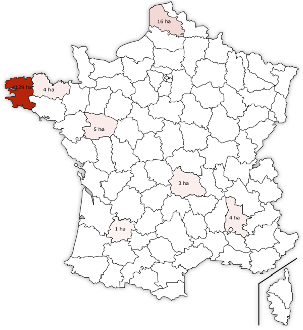 Carte de France avec la surface de production de plant d'échalote par département