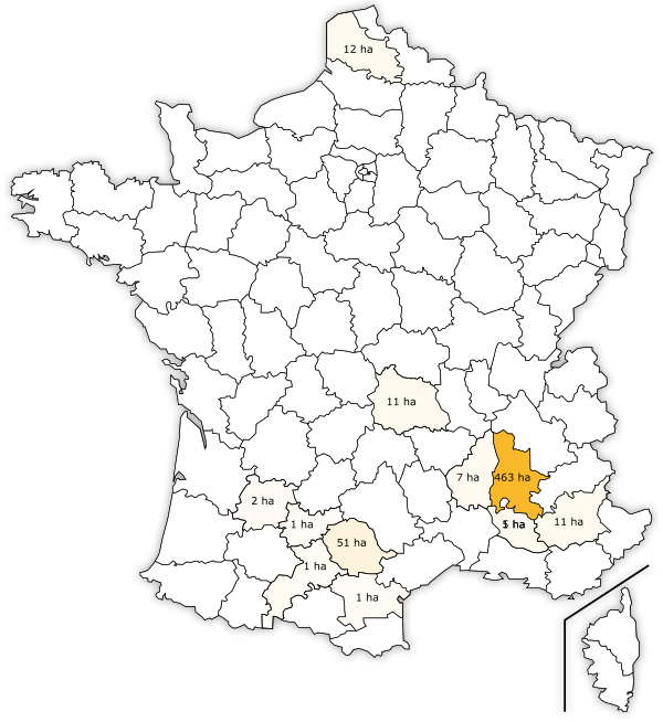 Carte de France avec la surface de production de plant d'ail par département